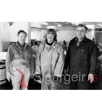 Guðmundur, Óli Pétur og Bjarni.