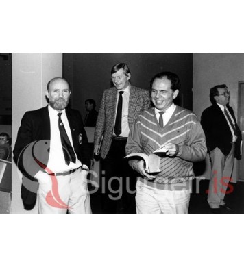 Golfþing í Vestmannaeyjum.