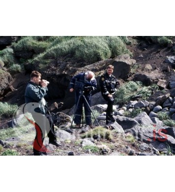 Lögreglan í Vestmannaeyjum.