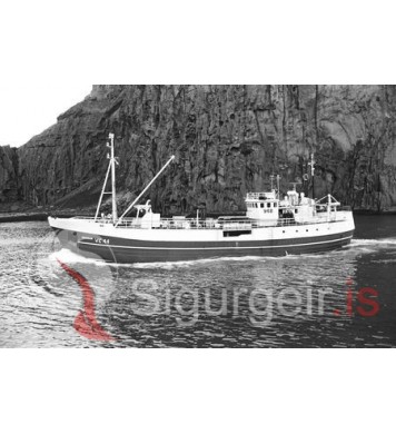 Bergur VE-44.