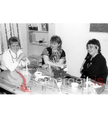 Júlía, Bryndís og Hrefna.