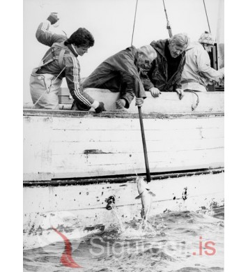 Sjóstangaveiðimót.