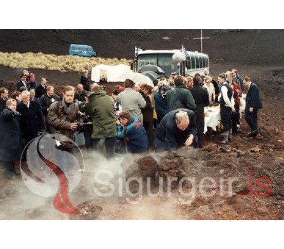 Ferðaþjónusta í Vestmannaeyjum.