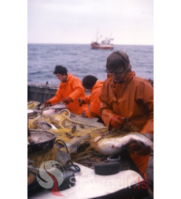 Um borð í Þórunni Sveinsdóttur VE 409.