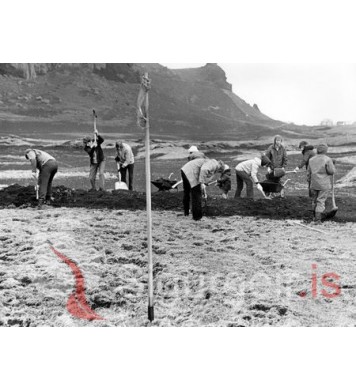 Golfklúbbur Vestmannaeyja.