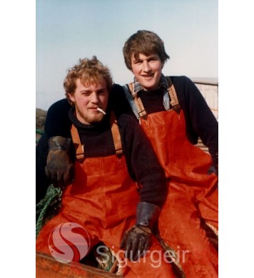 Halli Steini og Óli.