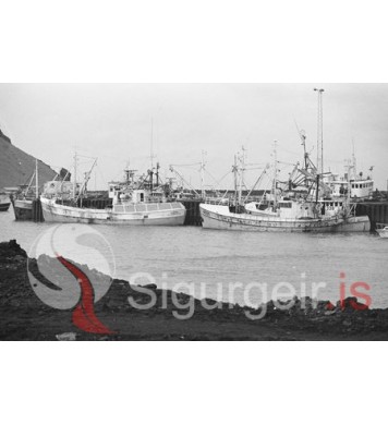 Við Nausthamarsbryggju.