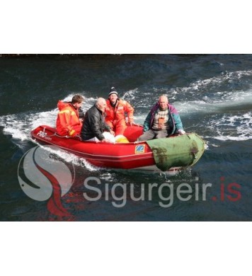 Á leið út í Elliðaey.