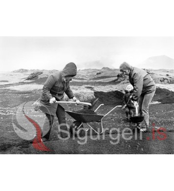 Golfklúbbur Vestmannaeyja.