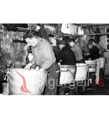 Beitningamenn á Snæfugli SU-20.