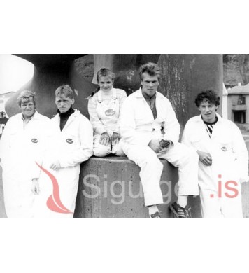 Olli með málaragengið sitt.