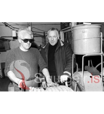 Bræðurnir Doddi og Elli.