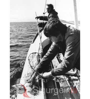 Ragnar í Bræðratungu og Gylfi Ingólfsson.