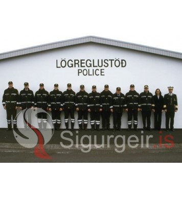 Lögreglan í Vestmannaeyjum.