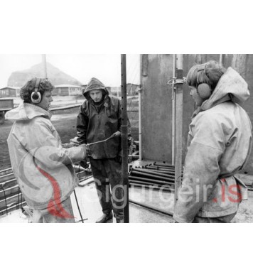 Gummi í Viðey, Almar og Jóni Ingi Sig.