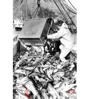 Þórarinn Ingi Ólafsson.