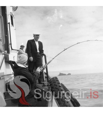 Sjóstangaveiðimót. 