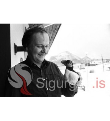 Eyfi á Vestmannaey.