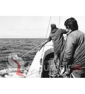 Ragnar í Bræðratungu og Gylfi Ingólfsson.