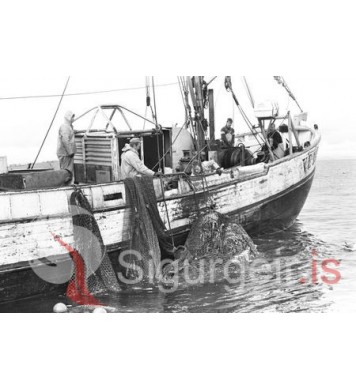Skúli fógeti VE-185 á humarveiðum.