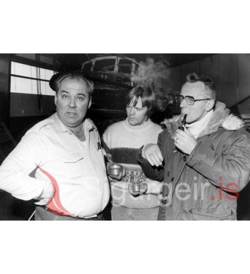 Garðar í Þór, Guðmundur Alfreðs og Sigmund.