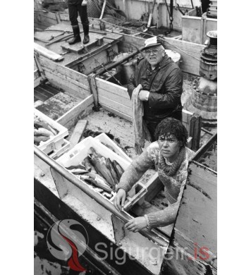 Sjóstangaveiðimót.