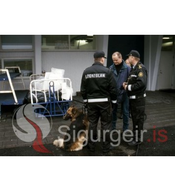 Lögreglan í Vestmannaeyjum.