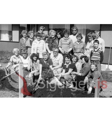 Garðyrkjufélag Vestmannaeyja.