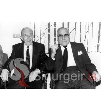 Halli Sig. og Halli Kela.