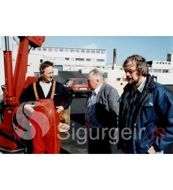 Hermann, Beggi og Siggi.