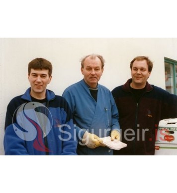 Henni, Olli og Jói.