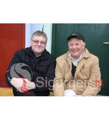 Goslokahátíð 2009.