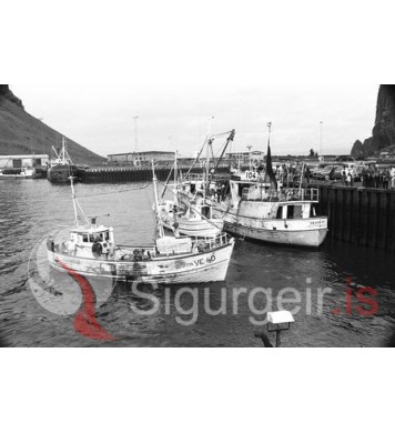 Sjóstangaveiðimót.