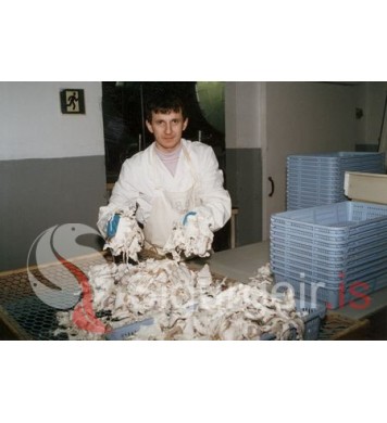 Jóhann Jóhannsson.