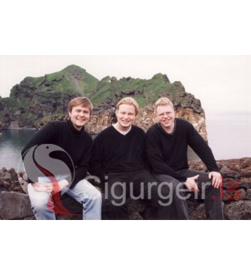 Ingvi Hrafn, Sigurður Kári og Einar.