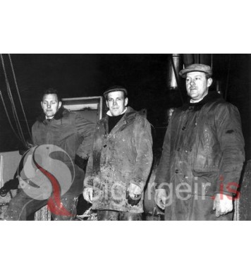 Kári Birgir, Magnús og Helgi Bergvins.