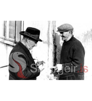 Þórður í Haga og Hannes á Brimhólum.