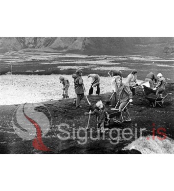 Golfklúbbur Vestmannaeyja.