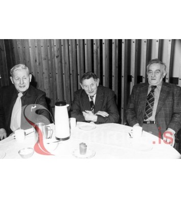 Óskar á Hálsi, Bjarni í Breiðholti og Páll Jónsson.