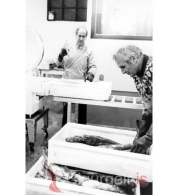 Ágúst og Bjarnhéðinn.