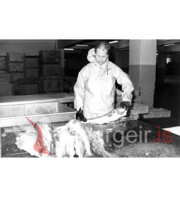 Hafsteinn Guðfinnsson.