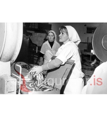 Kristný og Inda Marý.