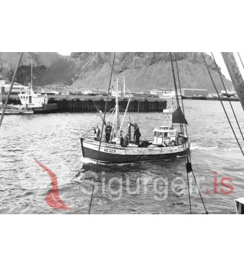 T/b. Sigurbjörn VE-329.