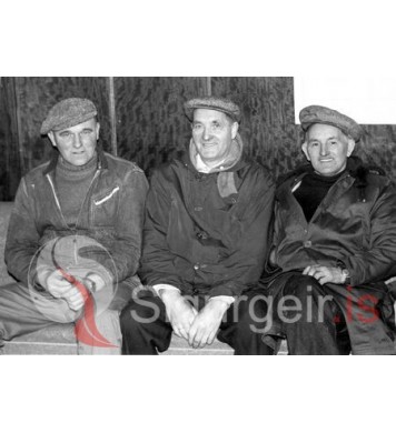 Siggi Valda, Haraldur og Engli.