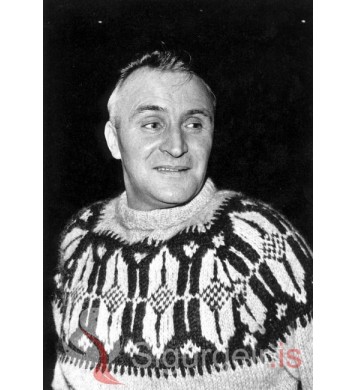 Bjarnhéðinn Elíasson.