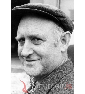 Júlíus Hallgrímsson.