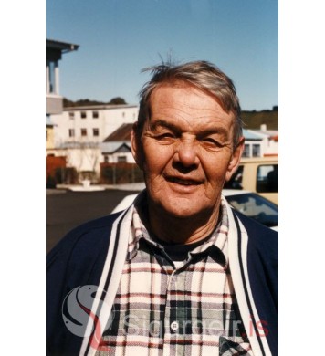 Steini á Gunnarshólma.