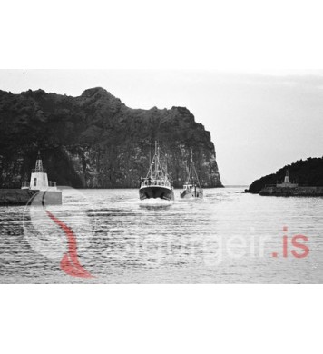 Ölduljón VE-130 og Árntýr VE-115.