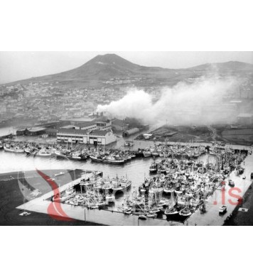 Höfnin í Vestmannaeyjum.