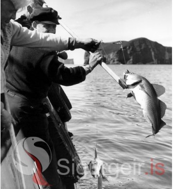 Sjóstangaveiðimót.